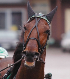 Random Shot 160128-3